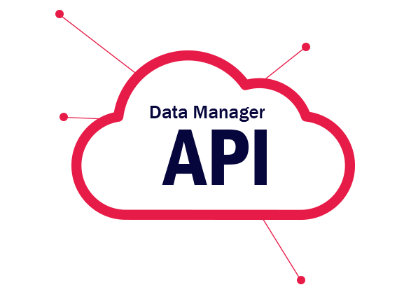 Data manager API cloud