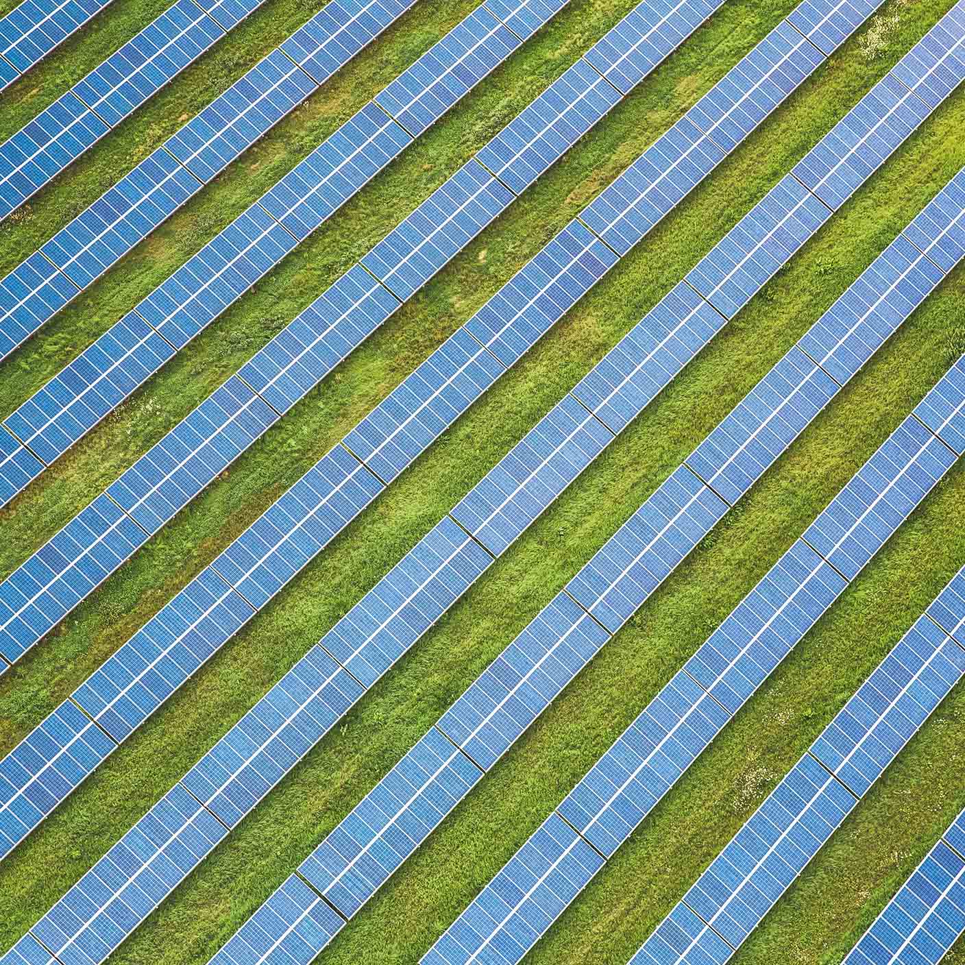 solar panel field